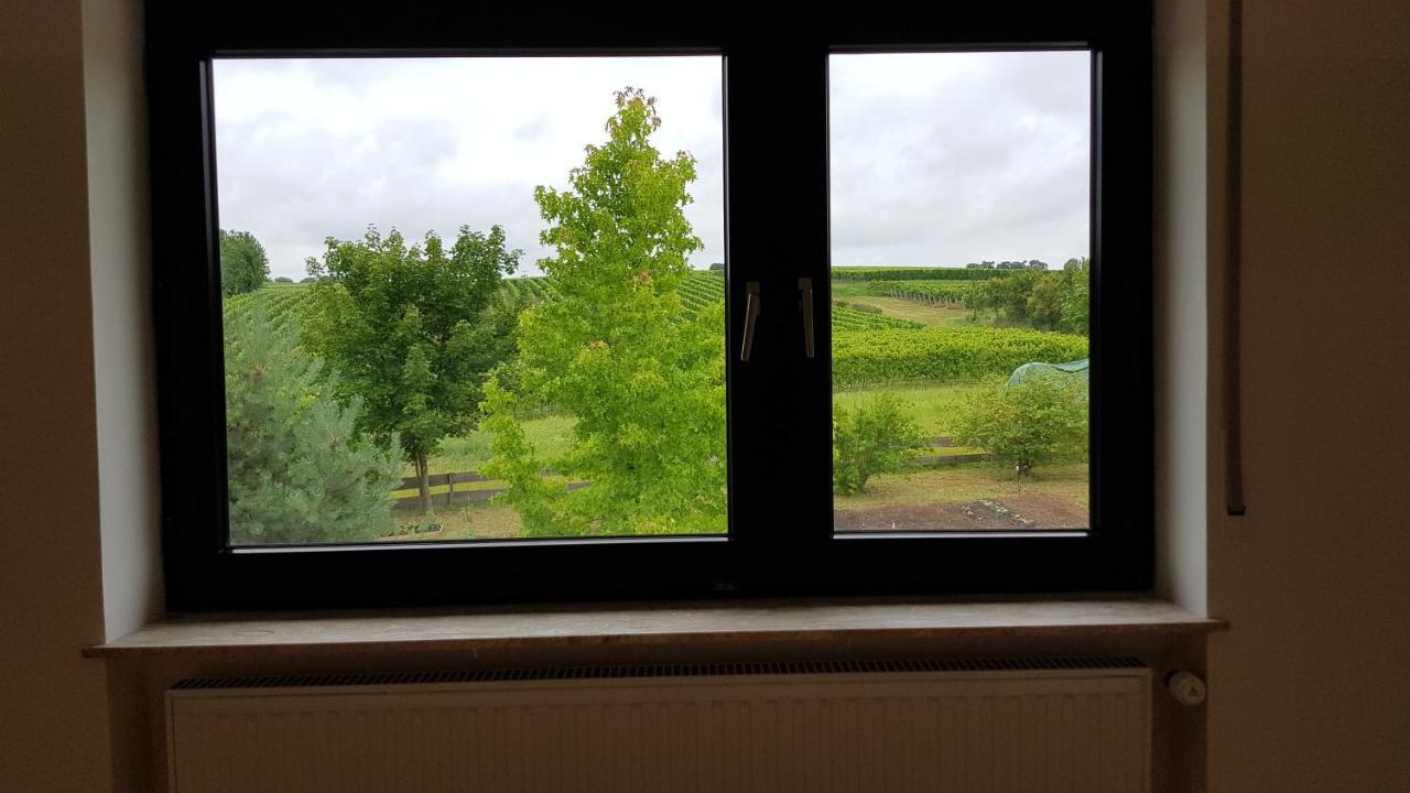 Haus Rebenblick Apartamento Dierbach Exterior foto